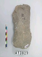 藏品(中型淺腰打製石斧)的圖片